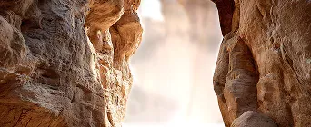 mega-menu-7.webp