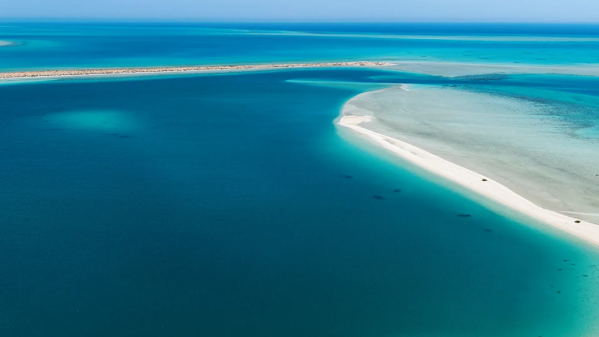 THE RED SEA